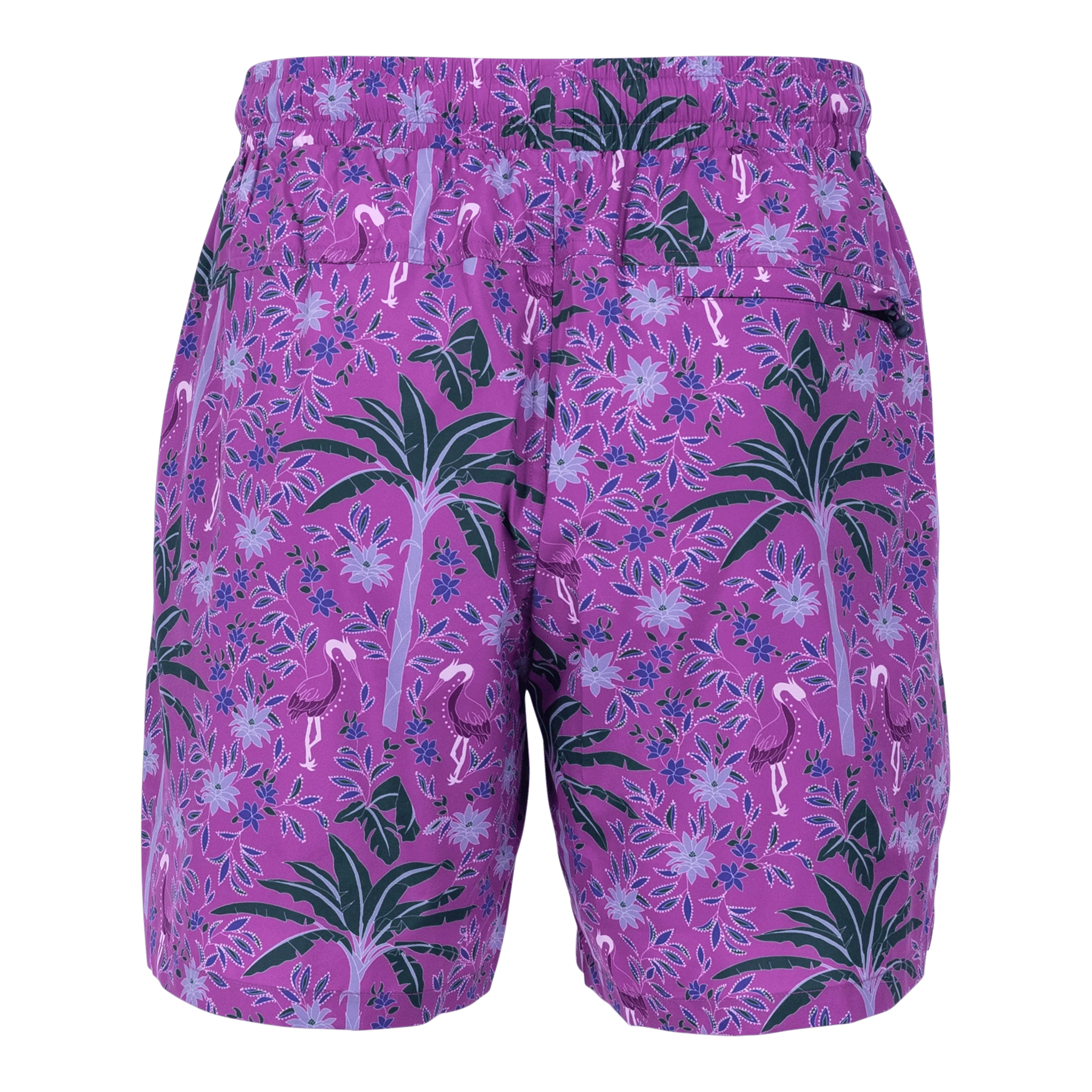 Palma Torch Swim Short